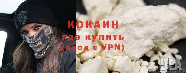 винт Бикин