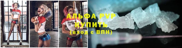 ПСИЛОЦИБИНОВЫЕ ГРИБЫ Ростов