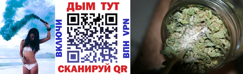 Конопля план Венёв